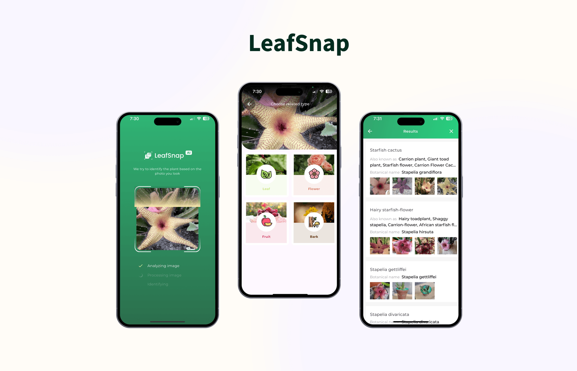 LeafSnap
